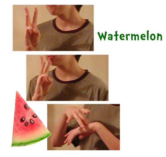 watermelon sign